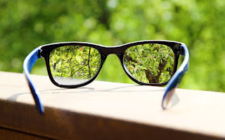 eyeglasses in the hand over blurred tree background