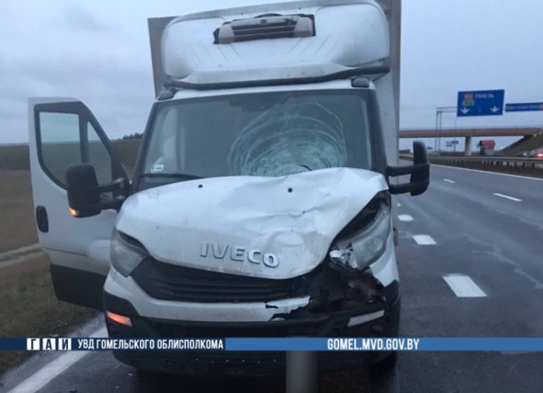 Пешеход погиб под колёсами иномарки в Буда-Кошелевском районе