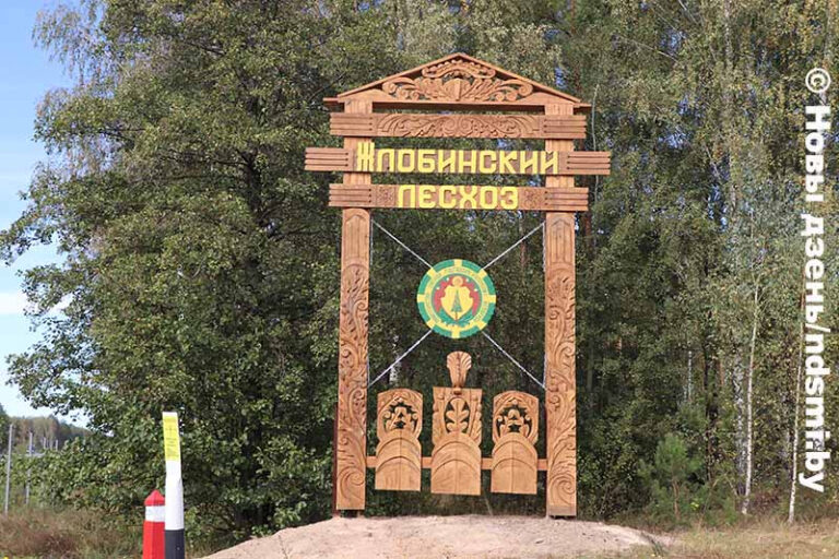 На республиканской трассе М-5 появился новый въездной знак — символ лесного богатства Беларуси