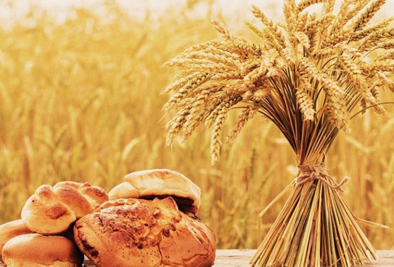 Поздравление от председателя районного исполнительного комитета Валентина Ундруля и председателя районного Совета депутатов Сергея Халдая с Днем работников сельского хозяйства  и перерабатывающей промышленности АПК