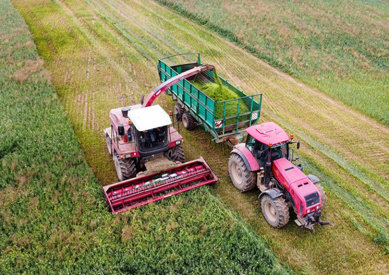 Сохранить деревню