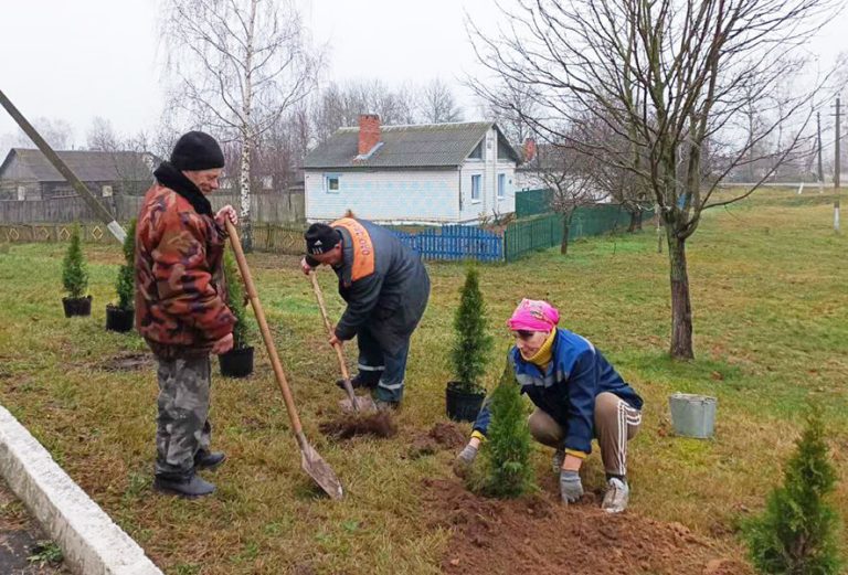 Более 600 саженцев высажено на территориях сельских советов