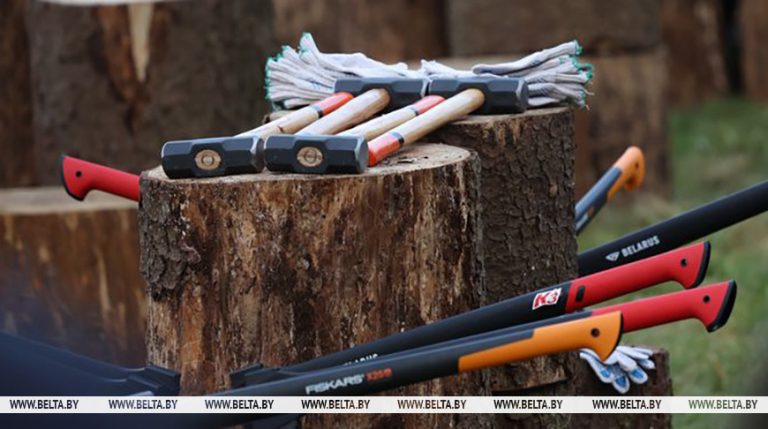 Лукашенко 7 ноября наколол дров и передал привет «доблестным журналистам»