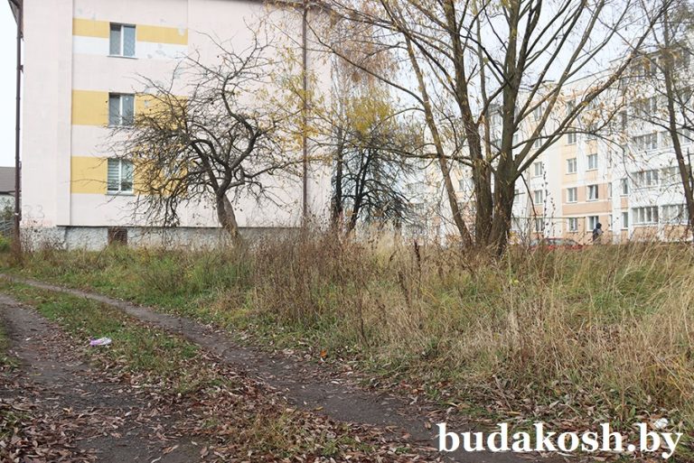 Расти, бурьян, выше дома