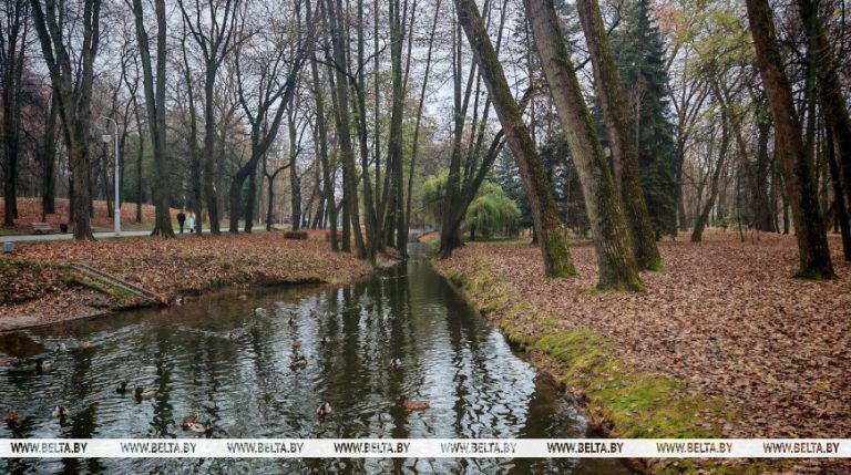 Рябов о погоде на неделю с 10 по 16 ноября: природа готовится к предзимним условиям