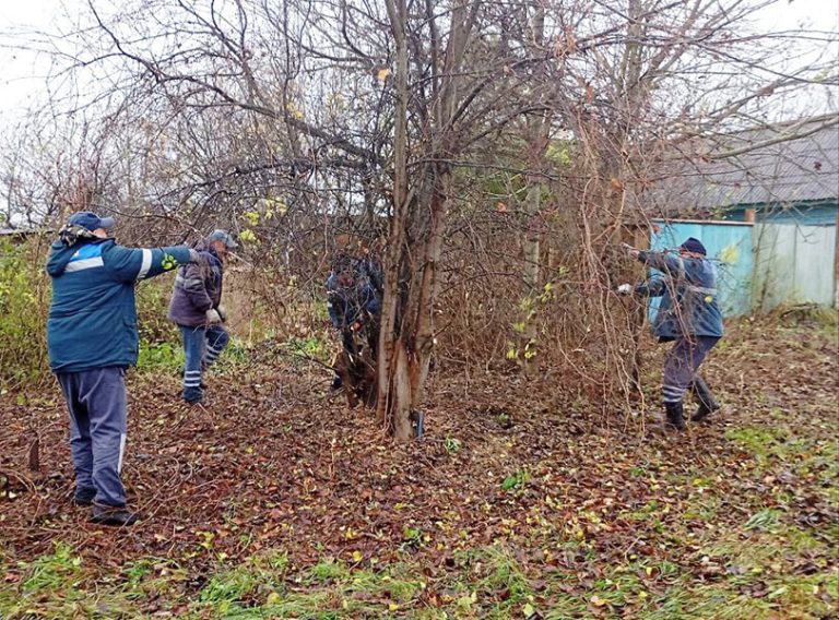 Все на уборку территории!