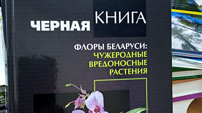 Быть в курсе. Черная книга Беларуси