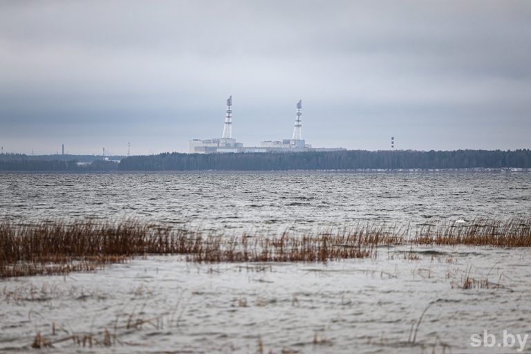 МЧС получило ответ от Литвы на запрос об инциденте на территории Игналинской АЭС