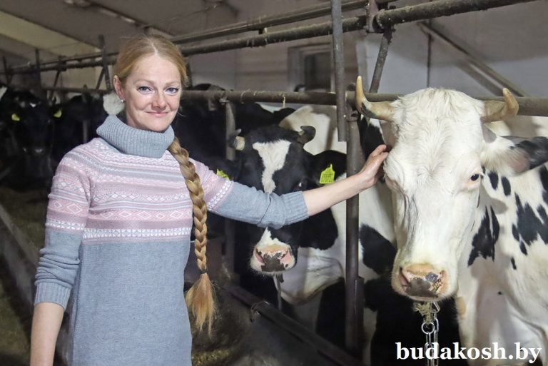 Труд на совесть