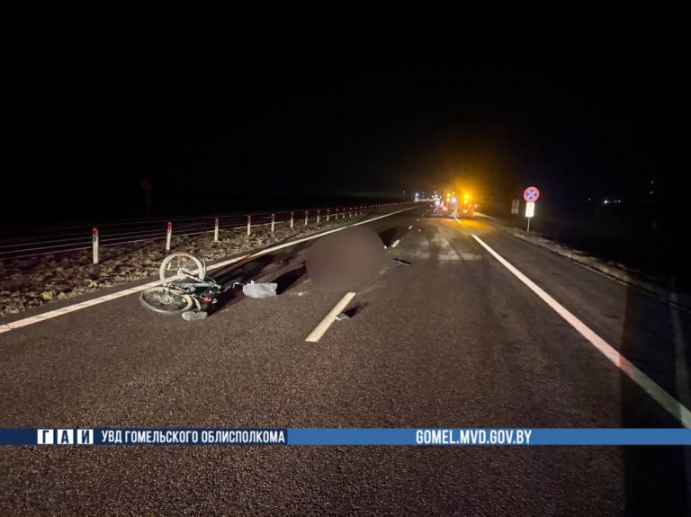 В Жлобинском районе совершен смертельный наезд на велосипедиста 