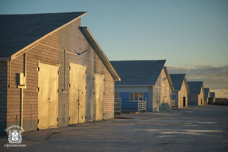 МТК вблизи агрогородка Залесье начали строить в 2024 году